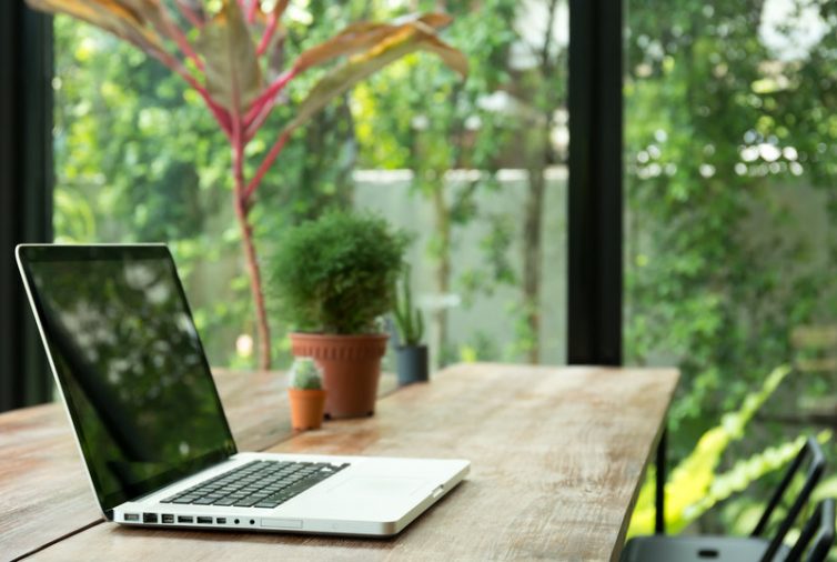 Plants Desk Office