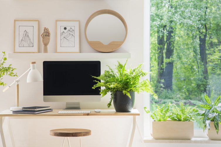 Planting For Productivity - Plant Office Window