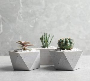 Concrete Plant Pots, Succulents
