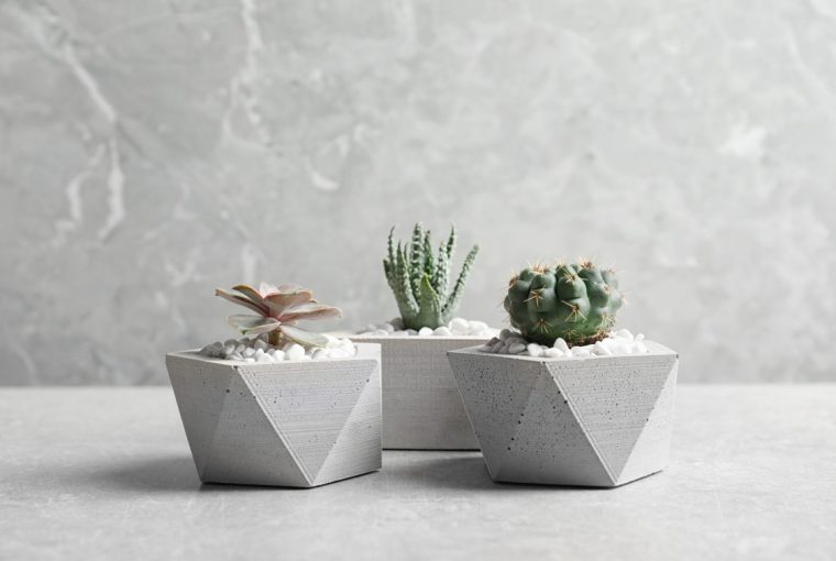 Concrete Plant Pots, Succulents