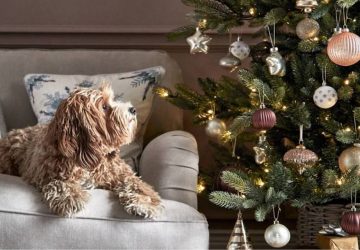 M&S Christmas tree and decorations with dog