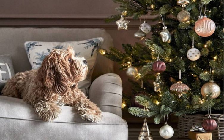 M&S Christmas tree and decorations with dog