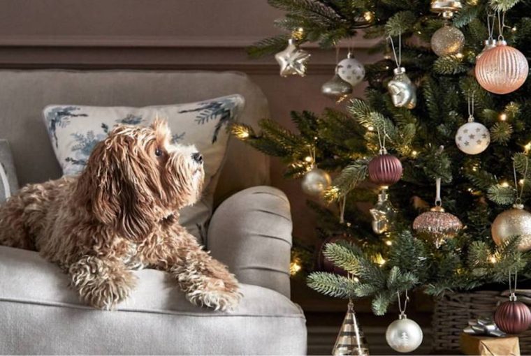 M&S Christmas tree and decorations with dog