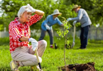 Elderly women gardening