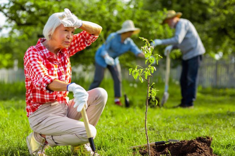 Elderly women gardening