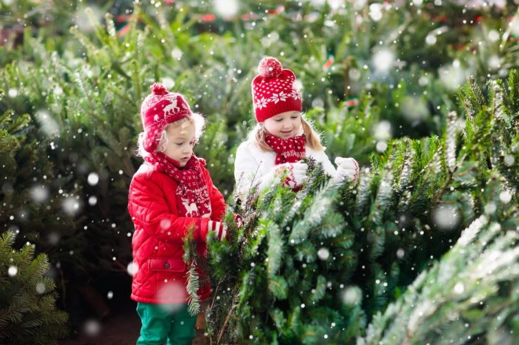 Children Choosing Christmas Tree