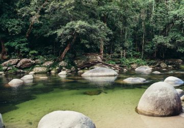 Mossman Gorge, Port Douglas, Cairns Queensland Australia