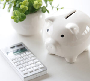 Piggy bank, calculator and plant in a white pot