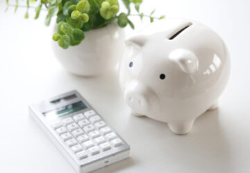 Piggy bank, calculator and plant in a white pot