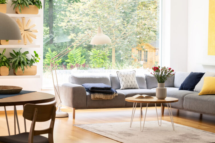 View of the backyard through a large window in a natural living room interior with plants, wooden furniture and a comfy sofa