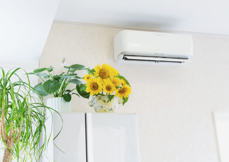 Air Conditioning Unit and house plants