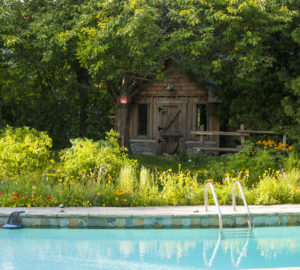 Garden with wooden shed, plus swimming pool.