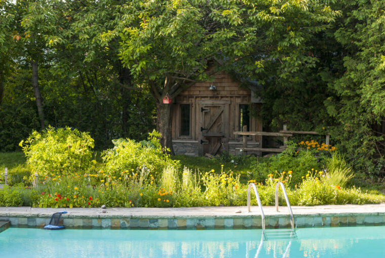 Garden with wooden shed, plus swimming pool.