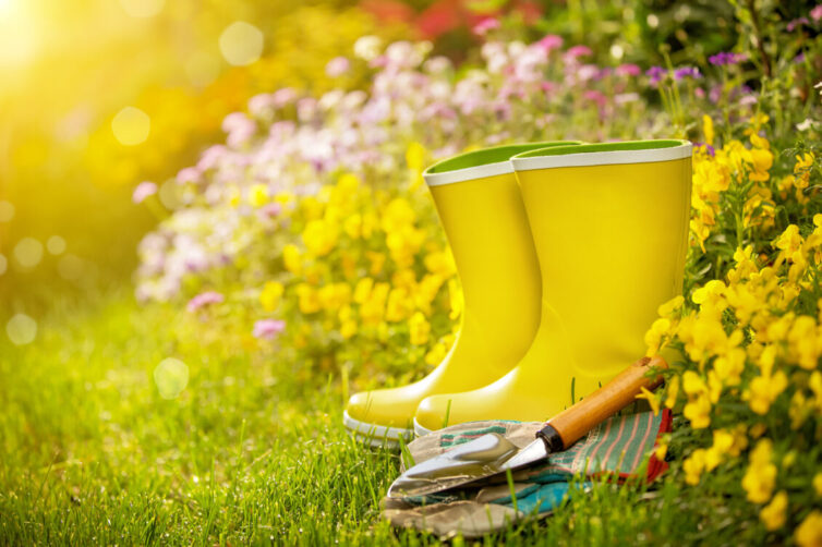 Yellow wellington boots in garden with garden tools
