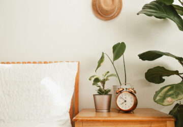 Bed and small cupboard. Alarm clock, plants