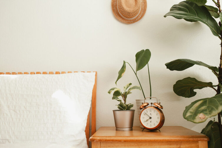 Bed and small cupboard. Alarm clock, plants