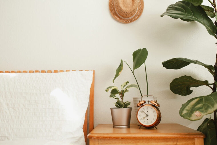 Bed and small cupboard. Alarm clock, plants