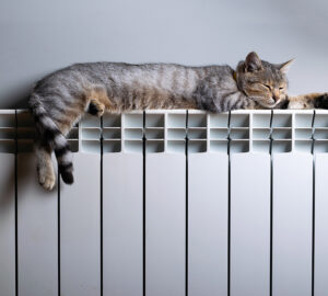 Tabby cat laying on radiator