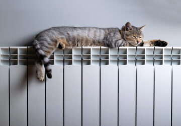 Tabby cat laying on radiator