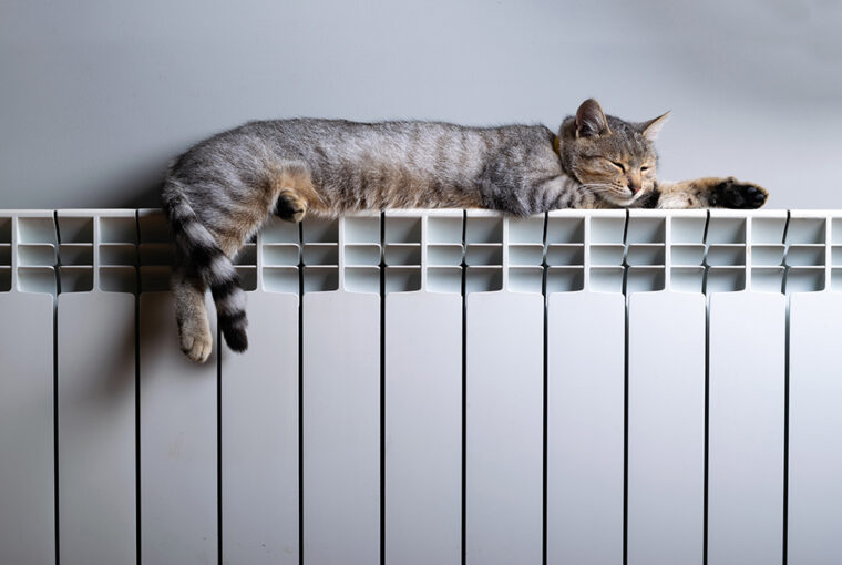 Tabby cat laying on radiator