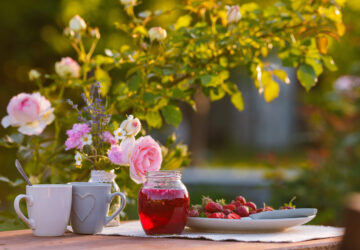 Morning tea in the garden. Roses on wooden table, sunny day.