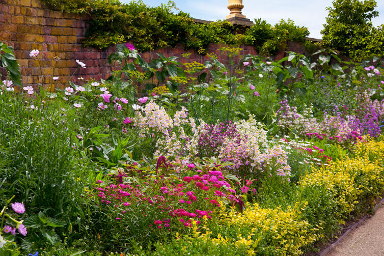 English Herbaceous Garden Border