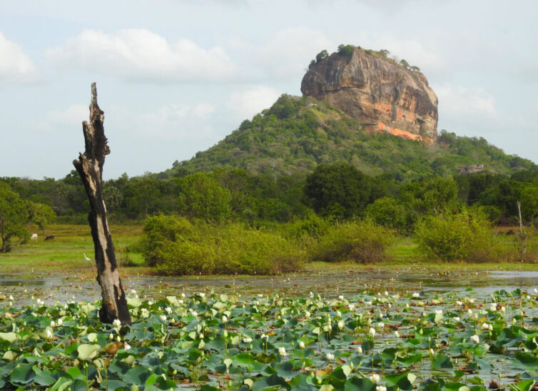 The incredible landscape of Sigiriya - Photo By Andrew Tisley (https://andrewtilsley.wixsite.com/artwork)