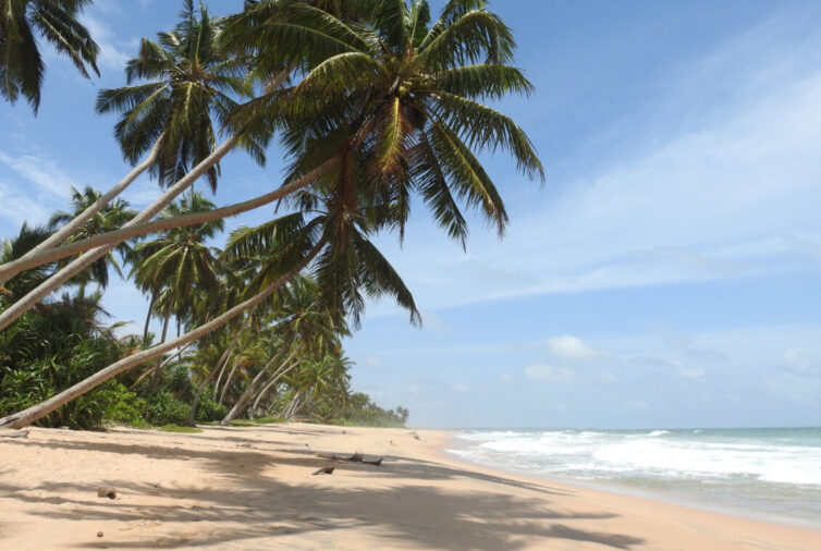 Postcard perfect beach, near Gaul - Photo By Andrew Tisley (https://andrewtilsley.wixsite.com/artwork/photography)