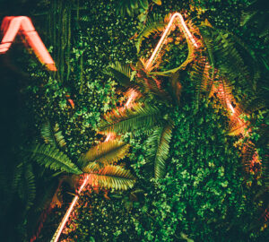 Neon Lights amongst plants