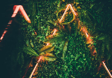 Neon Lights amongst plants