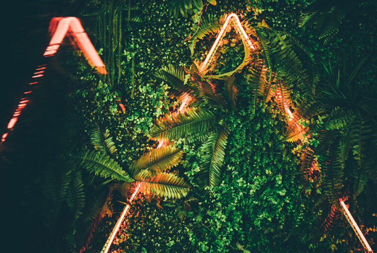 Neon Lights amongst plants