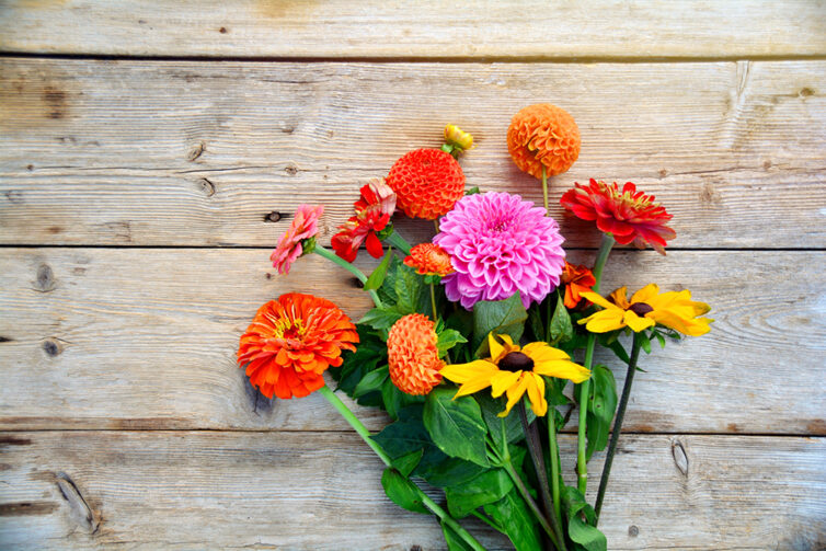 Bunch of flowers