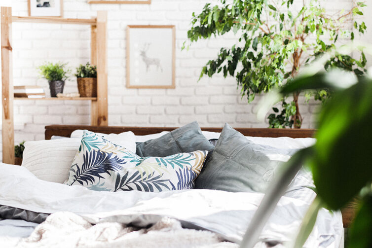 Bedroom with plants