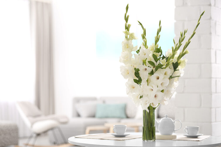 Vase with white gladiolus flowers placed on table in lounge