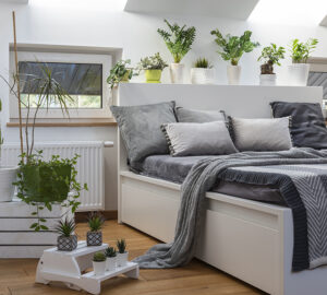 White bed and bedroom with house plants and grey bedding