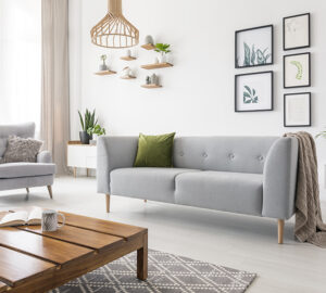 Neutral Loung with grey sofa and plants