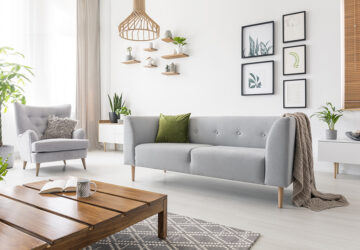 Neutral Loung with grey sofa and plants