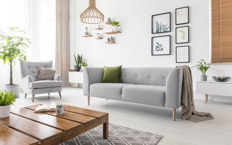 Neutral Loung with grey sofa and plants