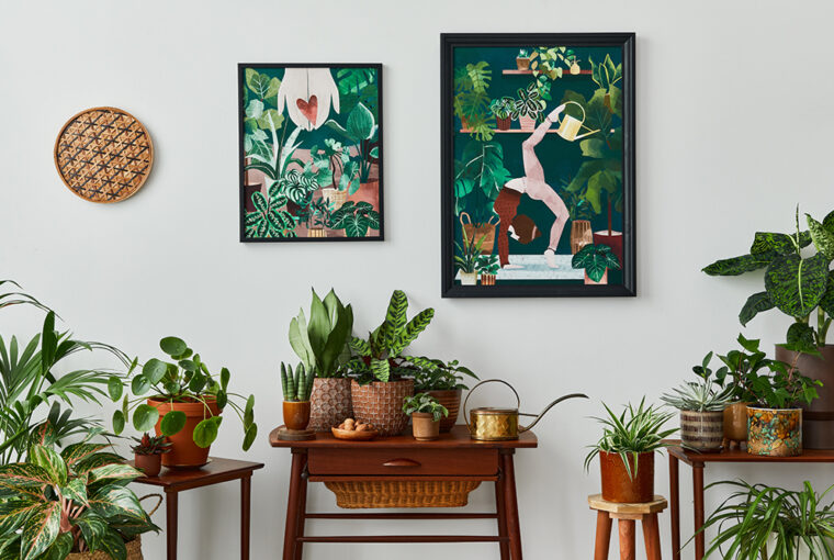 Living room with vintage retro shelf and tables with house plants, cacti. Yoga posta poster framed on the white wall.
