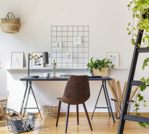 Office desk and chair plants