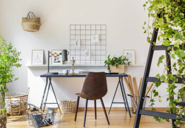 Office desk and chair plants