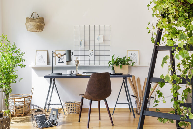 Office desk and chair plants