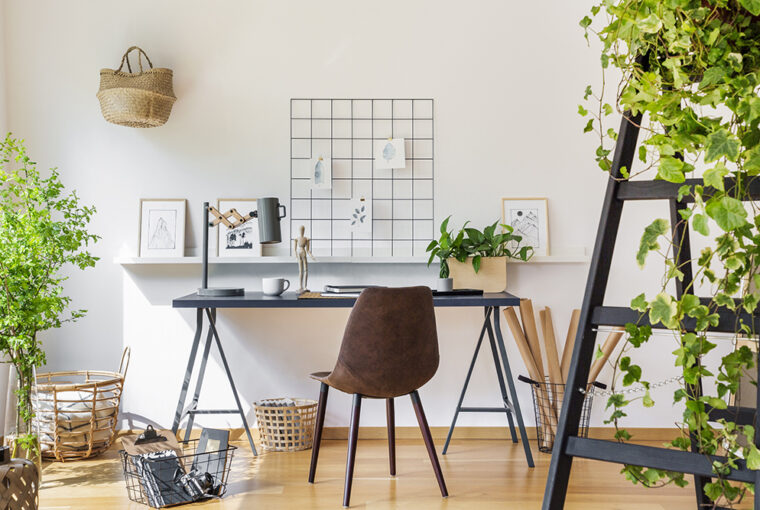 Office desk and chair plants