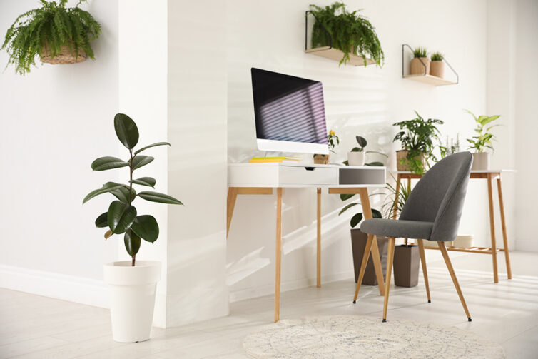 Home Office scandinavian style with green plants