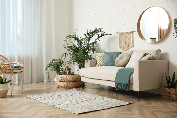 Cream sofa in a loung with plants and window net curtains