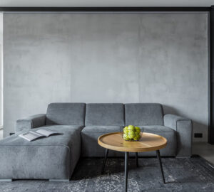 Concrete wall in living room, grey sofa and grey rug