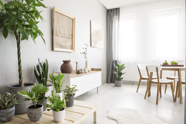 Dining Room with plants