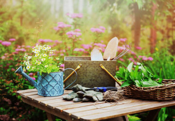 Garden table with watering can, gardening gloves and gardening tools