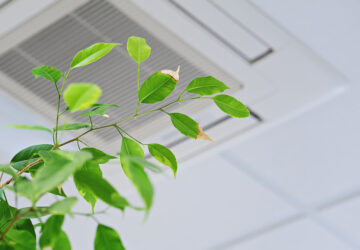 Green plant in front of ceiling airconditioning unit