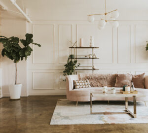 Stylish living room with blush pink sofa